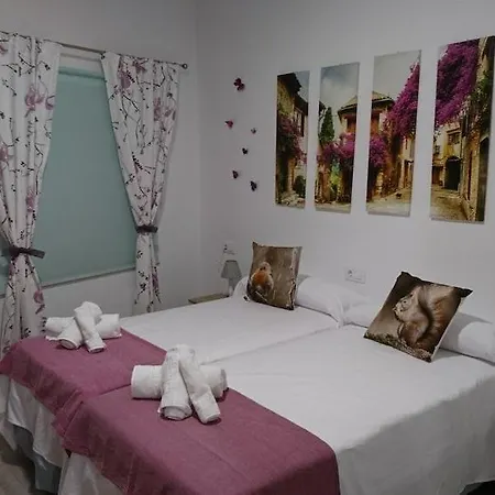 Apartment Coso De San Albin *